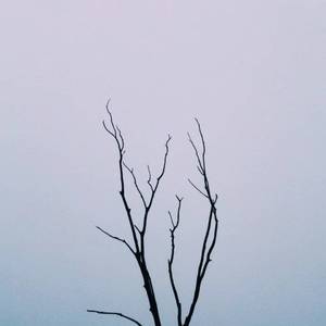 一边摸奶一边做爱视频
